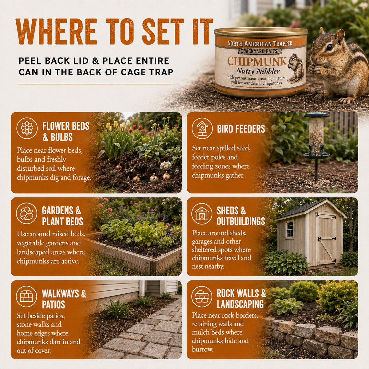 Chipmunk Bait | Backyard Baits®