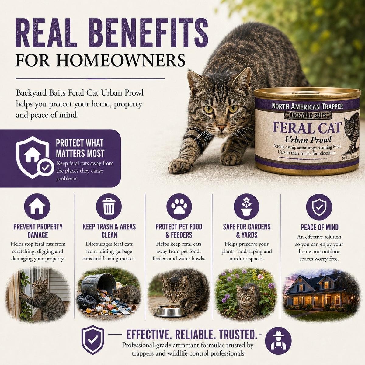 Feral Cat Bait | Backyard Baits®
